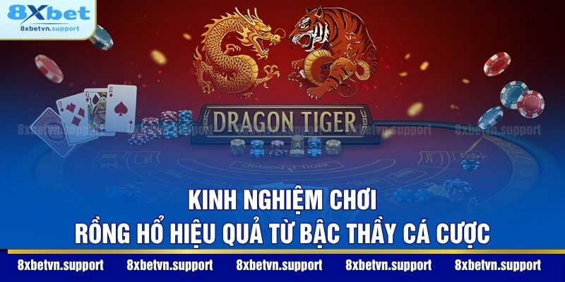 Kinh nghiệm chơi Rồng Hổ hiệu quả từ bậc thầy cá cược